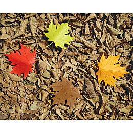 Стоппер для двери Autumn Qualy (желтый)