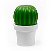 Млинок для перцю або солі Tasty Cactus Qualy (білий-зелений)