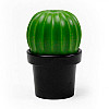 Млинок для перцю або солі Tasty Cactus Qualy (чорний-зелений)