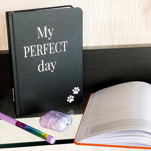 Щоденник-планер Diary My perfect day недатований (українська мова) чорний