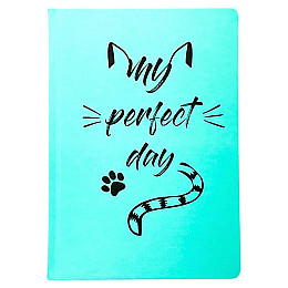 Щоденник-планер Diary My perfect day недатований (українська мова) м'ятний