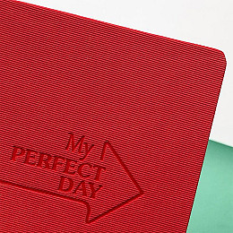 Планер “My perfect day” красный твил (украинский язык)