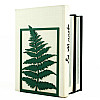 Упор для книг Glozis Fern Green (зеленый)