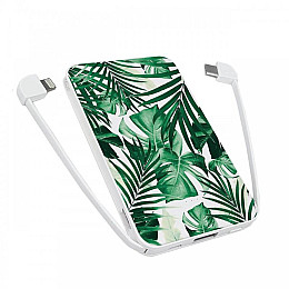 Повербанк (powerbank) Ziz "Листя" 5000 mAh