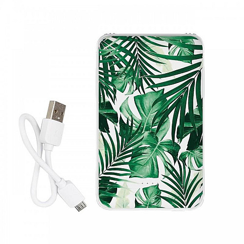 Повербанк (powerbank) Ziz "Листя" 5000 mAh