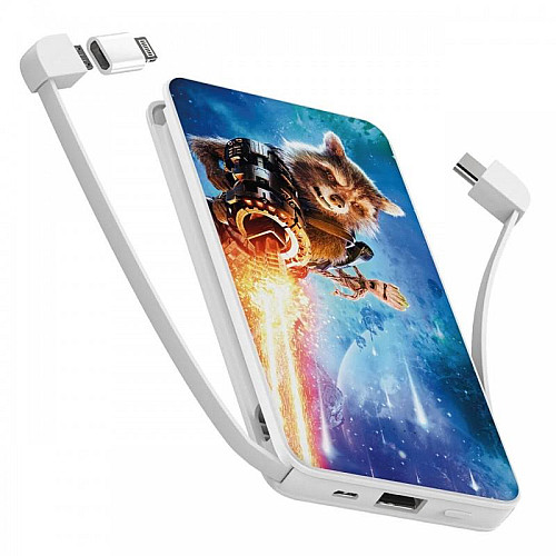 Повербанк (powerbank) Ziz "Енот ракета" 10000 mAh