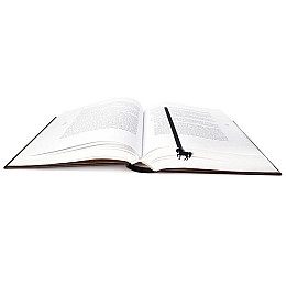 Закладка для книг «Конь»