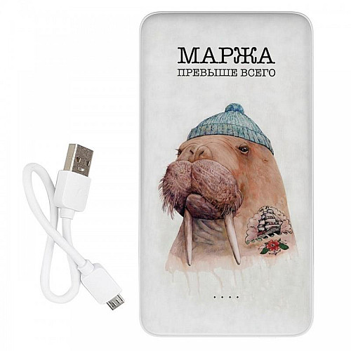 Повербанк (powerbank) Ziz "Маржа" 10000 mAh