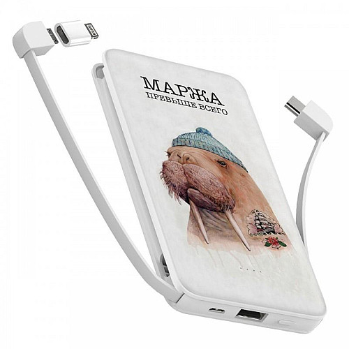 Повербанк (powerbank) Ziz "Маржа" 10000 mAh