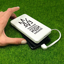 Повербанк (powerbank) Ziz "ЗСУ" 10000 mAh