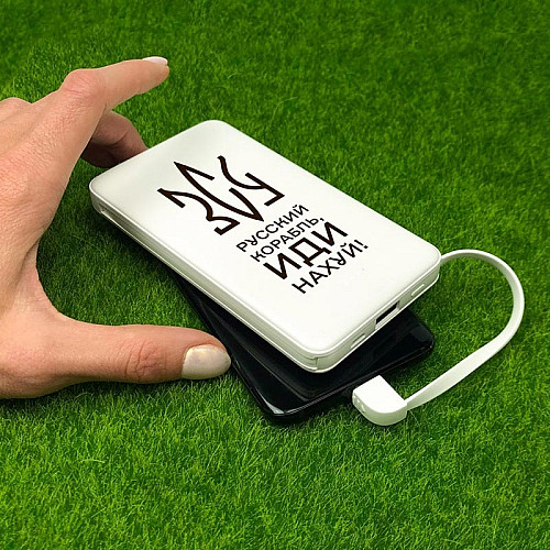 Повербанк (powerbank) Ziz "ЗСУ" 10000 mAh