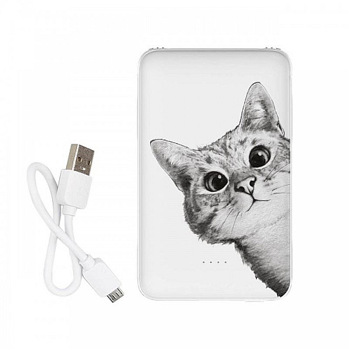 Повербанк (powerbank) Ziz "Эй, кот" 5000 mAh