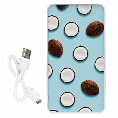 Повербанк (powerbank) Ziz "Кокос" 10000 mAh