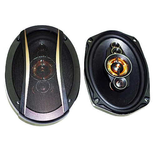 Автомобильные колонки RIAS TS-6996E овалы 6x9 двухполосные 900W (3_03597)