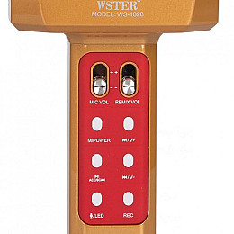 Микрофон-караоке беспроводной WSTER WS-1828 Золотой (101114)