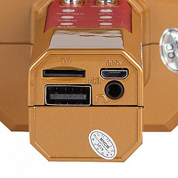 Микрофон-караоке беспроводной WSTER WS-1828 Золотой (101114)