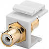 Перехідник аудіо Goobay RCA F/F (Keystone) White Gold-Plated білий (75.07.9676)