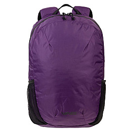 Легкий рюкзак для ноутбука 15,6 дюймов Vinel Фиолетовый (VL0101BPDP)