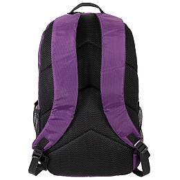 Легкий рюкзак для ноутбука 15,6 дюймов Vinel Фиолетовый (VL0101BPDP)