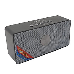 Портативная музыкальная аккумуляторная Bluetooth колонка с встроенным радио Wster WS-768 Silver