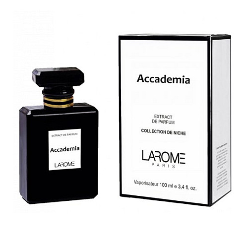 Нішеві парфуми унісекс LAROME 304 Accademia 100 мл