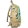 Молодежный рюкзак Paso 18 л Хаки (CM-182C)