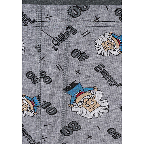 Трусы Termico M01 Einstein S Разноцветные
