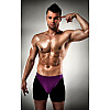 Мужские трусы Passion 009 THONG S/M Фиолетовый (PSM0092)