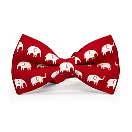 Набор детский подтяжки и бабочка Z-U С Слониками Ngu-4561 красный