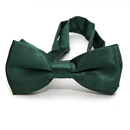 Детская галстук-бабочка Gofin Глянцевая Зеленая Ddb-29033