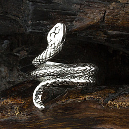 Кольцо Win Змея Регулируемый Размер 16-18 Стальной (23693)