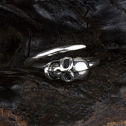 Кольцо Win Череп Регулируемый 16 - 19,5 Стальной (23681)