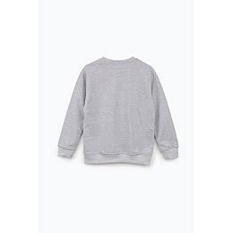 Реглан для девочки Hope HP606 146 см Серый (2000989154549)