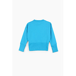 Реглан для девочки ADK 205 116 см Голубой (2000989235491)