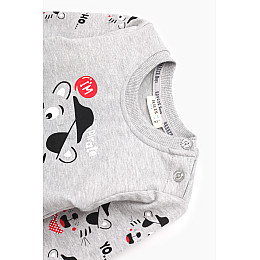 Костюм для хлопчика (реглан+штани) Breeze 17661 104 см Сірий (2000989458029)