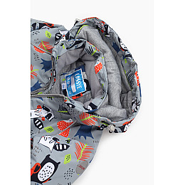 Куртка для мальчика Snowgenius D442-03 92 см Серый (2000989393252)