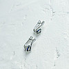 Серебряные серьги SilverBreeze с мистик топазом 1.292ct (2140412)