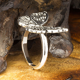 Перстень Win Бабочка 16-18,5 Стальной (27069)