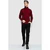 Гольф мужской бордовый 161R696 Ager XXL