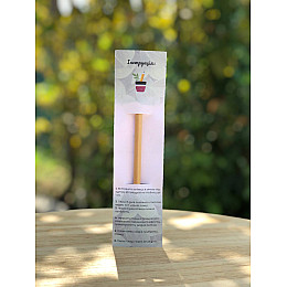 Квітучий олівець м'ята 