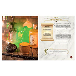 Книга лакомств Гарри Поттера. Неофициальное иллюстрированное издание (23216) MAL'OPUS