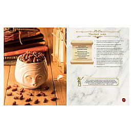 Книга лакомств Гарри Поттера. Неофициальное иллюстрированное издание (23216) MAL'OPUS