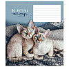 Тетрадь ученическая "Be joyful always" Школярик 018-3263L-5 в линию 18 листов