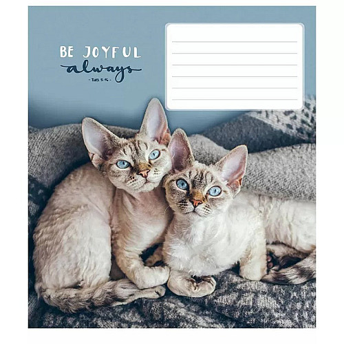 Тетрадь ученическая "Be joyful always" Школярик 018-3263L-5 в линию 18 листов