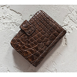 Визитница из кожи крокодила Ekzotic Leather Коричневый (crc01_1)