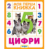 Книга Перо Цифры Моя первая книга (119531)