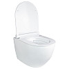 Унитаз Подвесной Qtap Robin Безободковый С Сидением Slim Soft-Close Qt1333046Enrw