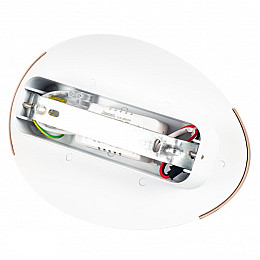 Подсветка Flora декоративная LED Flora Золотой/Белый (HS006/gd-10w) (SK000616)