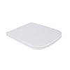 Сидіння для унітаза Qtap Aries з мікроліфтом Slim Qt99Hxu15W