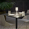 Настольная светодиодная лампа RIAS Rose Diamond Table Lamp с пультом